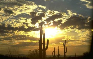 dawn painting the sky yellow and pink over the desert;