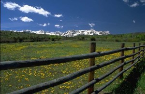 on the fence;