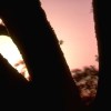 peering between