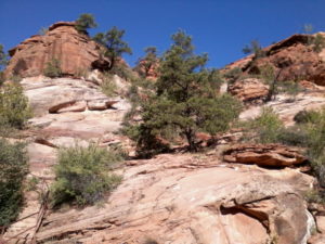 81-Zion National Park2