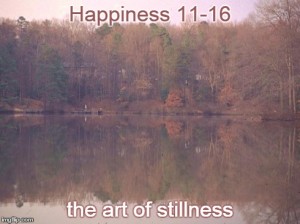 art of stillness meme