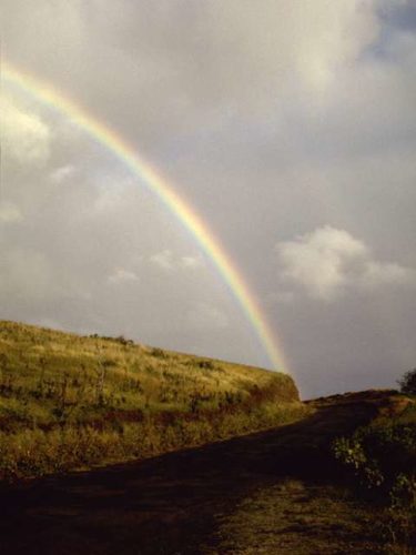 sliding down the rainbow