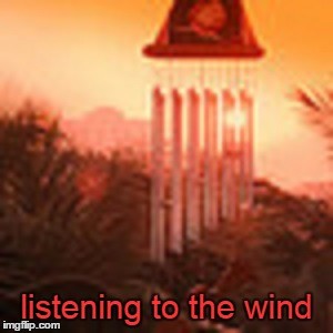 12-31-14 listening to the wind