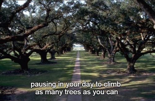 6-28 pausing in your day to climb as many trees as you can