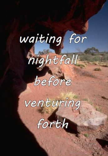 9-8 waiting for nightfall before venturing forth