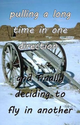 12-29 going a long time in one direction and finally deciding to fly in another